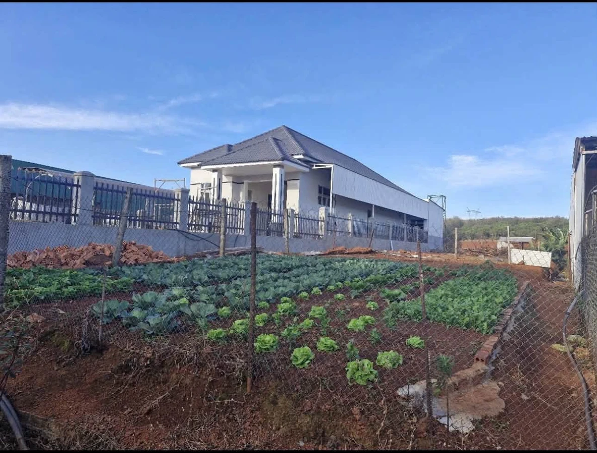 Bán lô đất 15.000m² Đắk Nông giá 1 tỷ 350 triệu - Ảnh thu nhỏ 2