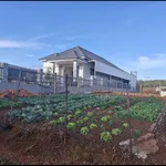 Bán lô đất 15.000m² Đắk Nông giá 1 tỷ 350 triệu - Ảnh thu nhỏ 2