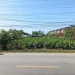 Bán Đất 1053,5 m2 tại Đường Quốc lộ 54, Xã Tân Thành, Huyện Lai Vung, 4,2 tỷ - Ảnh thu nhỏ 8