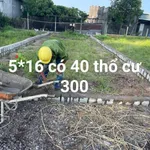 Bán 2 lô đất F0 Tam Phước Long Điền, có sổ, 300-380 triệu - Ảnh thu nhỏ 1