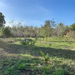 Bán 3.208m đất TMDV trung tâm Ninh Hòa vị trí đẹp, giá 6,5 triệu/m - Ảnh thu nhỏ 10