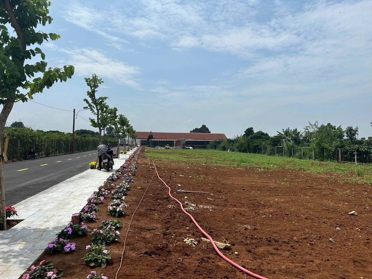 Bán đất 135m² gần sân bay Liên Khương, Đà Lạt - Ảnh thu nhỏ 4