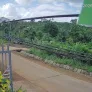 Giảm 500tr - Chính chủ bán nhà tại thôn 1, xã Đắk R'La, huyện Dăk Mil, Đắk Nông - Ảnh thu nhỏ 8