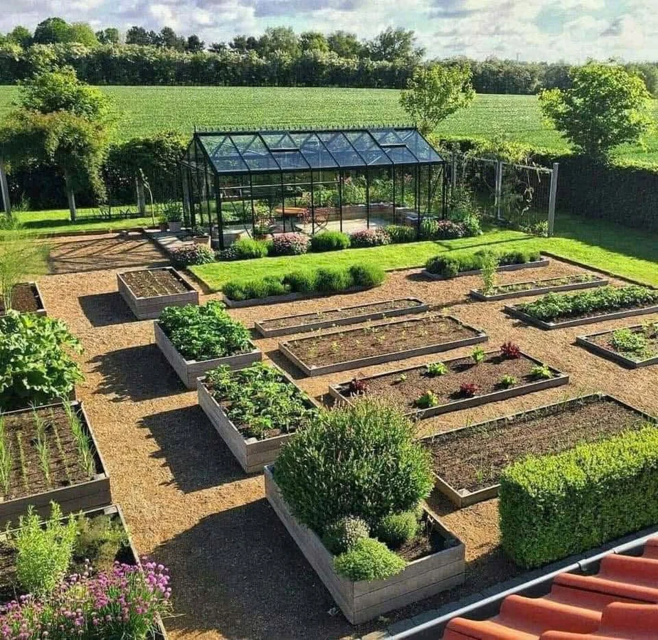 Bán nhà vườn 1200m² Hòa Vang 3 tỷ - Ảnh thu nhỏ 3