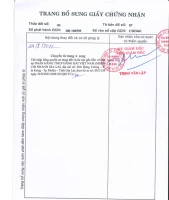 Bán QSDĐ và tài sản gắn liền với đất tại thửa đất số: 03, tờ bản đồ số: 87, P.Pleiku, T.Gia Lai - Ảnh thu nhỏ 5