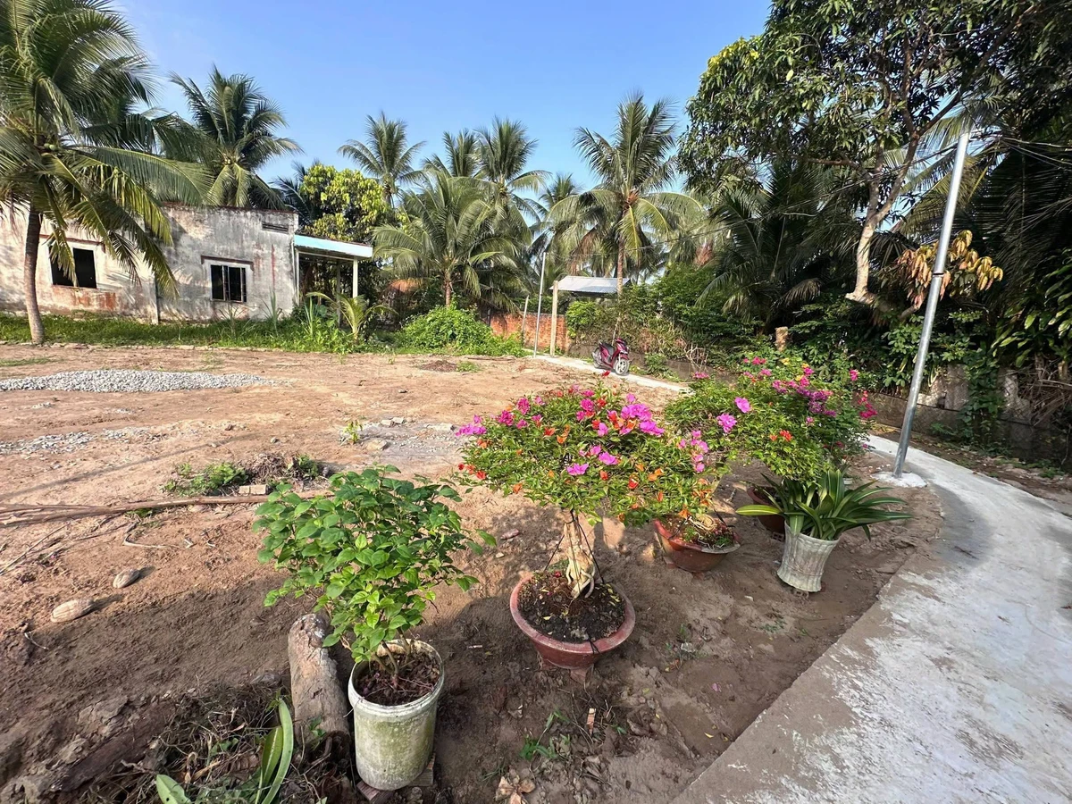 Bán nền biệt thự 417m² Sơn Đông Bến Tre - Ảnh thu nhỏ 3