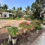 Bán nền biệt thự 417m² Sơn Đông Bến Tre - Ảnh thu nhỏ 3