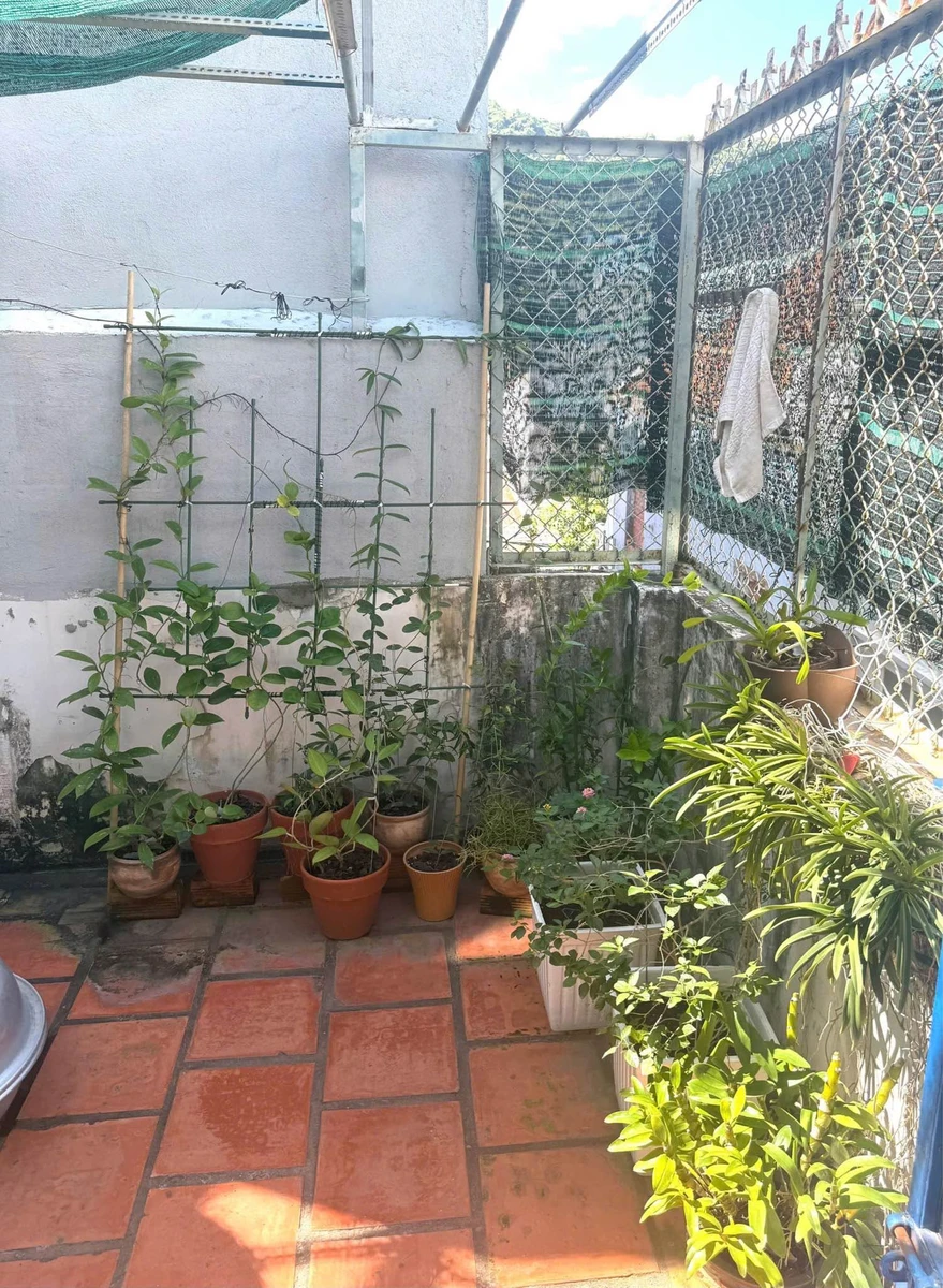 Bán nhà hẻm ô tô 52m² 3 PN 3 WC Vũng Tàu - Ảnh thu nhỏ 2