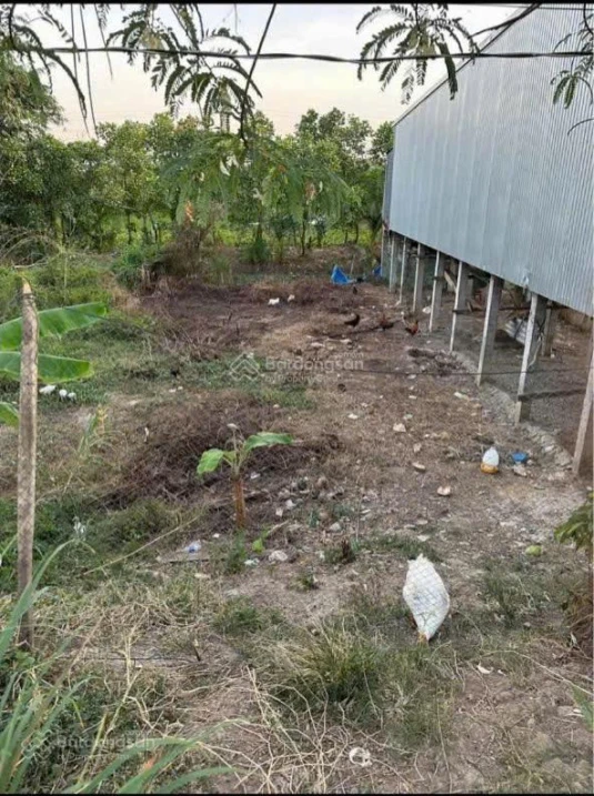 Chính chủ bán đất Ô Long Vĩ - Châu Phú, An Giang - Ảnh 1