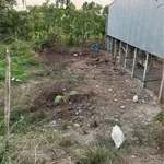 Chính chủ bán đất Ô Long Vĩ - Châu Phú, An Giang - Ảnh thu nhỏ 1