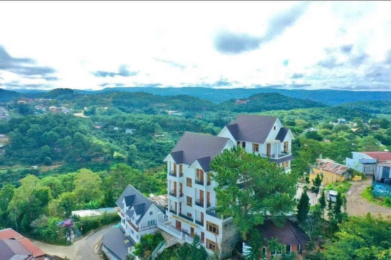 Bán villa view rừng thông Đà Lạt 913m², 35 tỷ