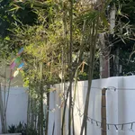 Cần bán gấp homestay đẹp đang kinh doanh tại An Vĩnh, đặc khu Lý Sơn, vị trí đẹp - DT 138m2 - Ảnh thu nhỏ 8