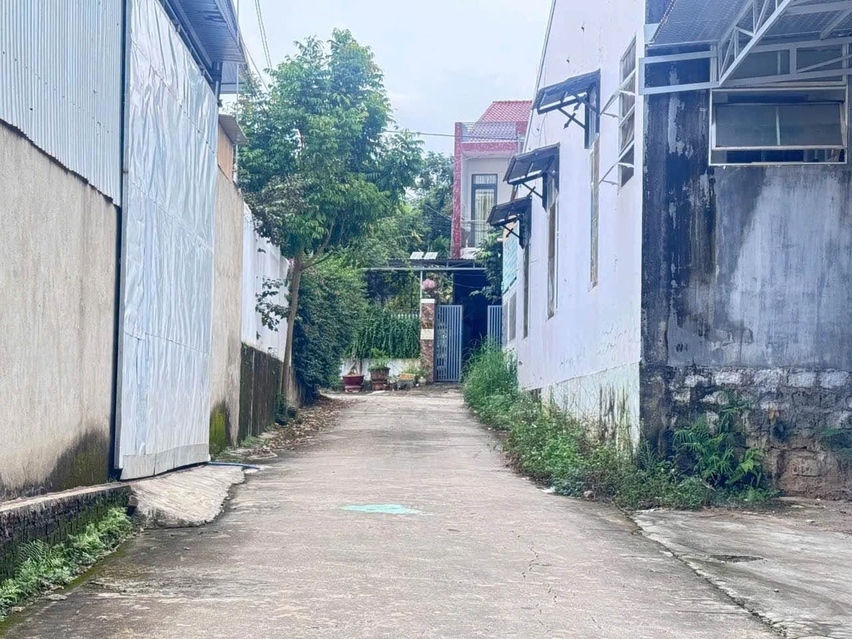 Bán đất nền 98m² Đào Duy Anh, Phường Eakao, Quận 12 - Ảnh thu nhỏ 3