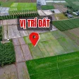 Bán gấp đất vườn Long Thuận, Tây Ninh | 12.654m2 | 16 tỷ đất cao ráo khu dân cư đông đúc - Ảnh thu nhỏ 6