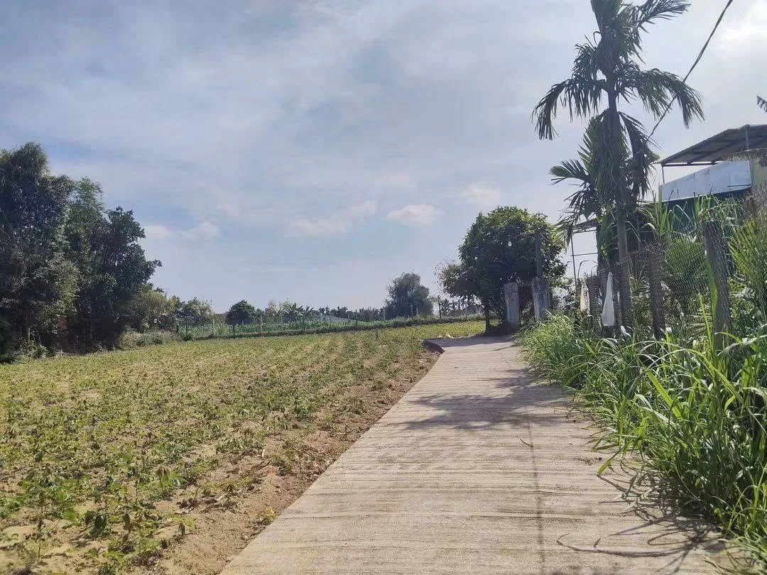 Bán đất Hóc Môn 120m² gần Thạch Bích 4 tỷ - Ảnh thu nhỏ 2