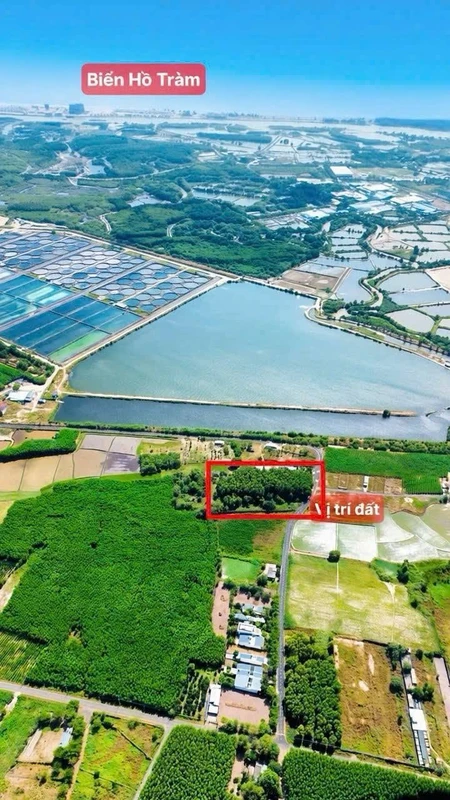 Bán đất biển Phước Hải 5000m2 giá 8 tỷ 500
