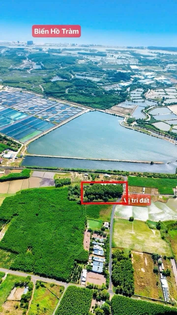 Bán đất biển Phước Hải 5000m2 giá 8 tỷ 500 - Ảnh 1