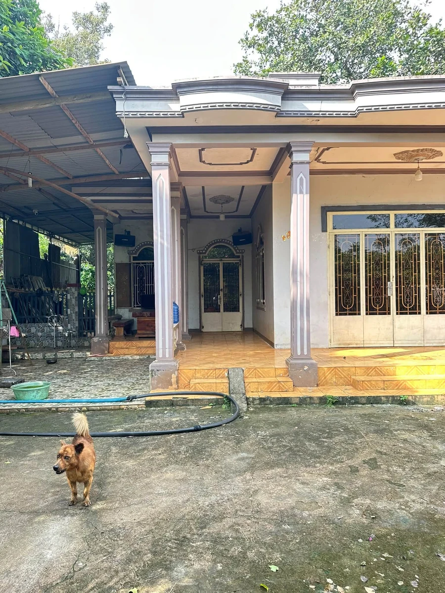 Bán đất 8.000m² Châu Đức, giá 700tr/1.000m² - Ảnh thu nhỏ 5