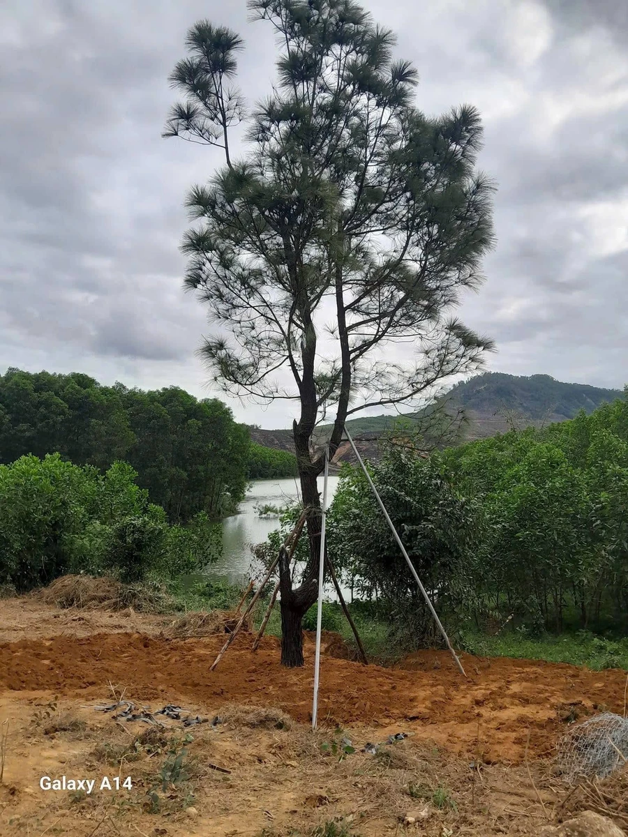 Bán đất nghỉ dưỡng view hồ sinh thái 5.931m² Huế - Ảnh thu nhỏ 3
