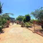 Bán đất vườn Lộc An 1537m2, Bà Rịa - Vũng Tàu, 5tỷ4 - Ảnh thu nhỏ 1