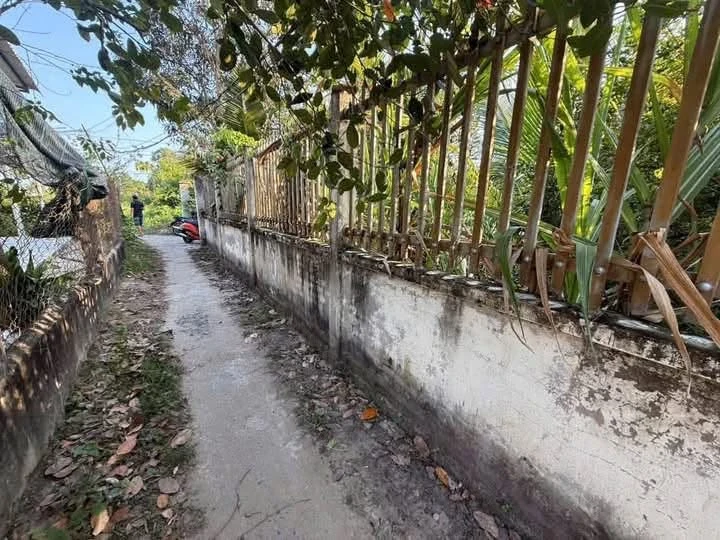 Bán đất vườn 543m² Xã Phú Hưng Bến Tre 940 triệu - Ảnh thu nhỏ 3