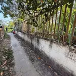 Bán đất vườn 543m² Xã Phú Hưng Bến Tre 940 triệu - Ảnh thu nhỏ 3
