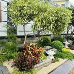 Bán biệt thự Giang Văn Minh 240m² Quận 2, 65 tỷ - Ảnh thu nhỏ 4