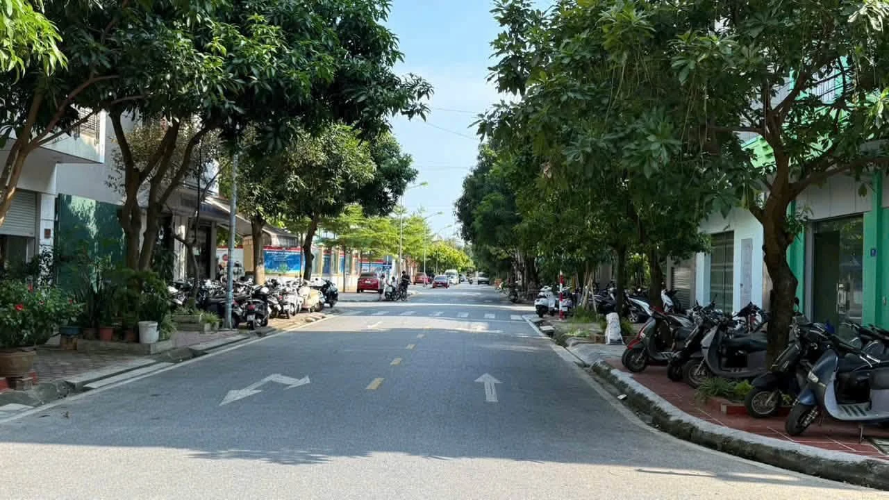 Bán lô đất mặt phố Trần Nguyên Đán 70 m² - 4.5 tỷ - Ảnh 1