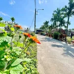 Bán đất 111m2 Trương Quang Trọng, Bình Chánh - 470 triệu - Ảnh thu nhỏ 3