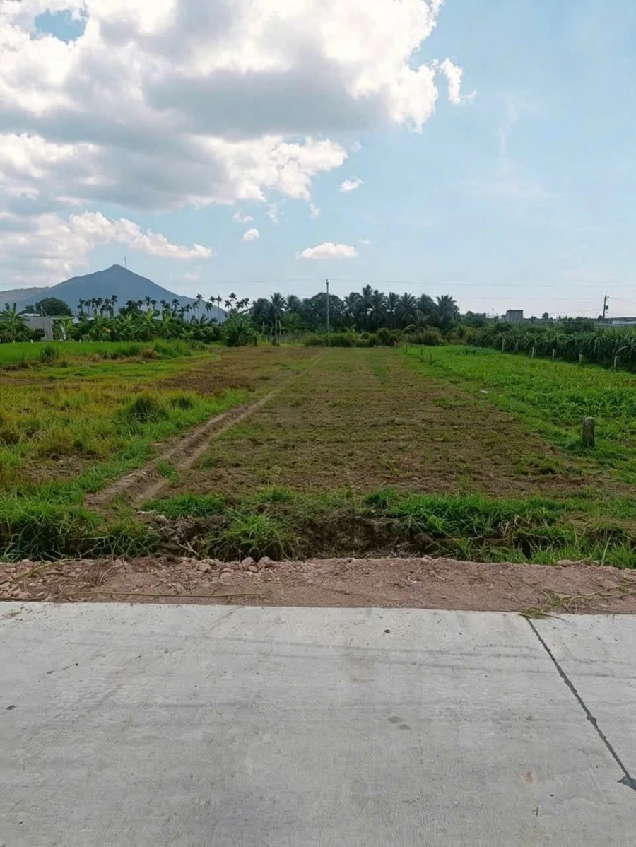 Bán đất 540m² (100m thổ cư) Bình Thuận - 490 triệu - Ảnh thu nhỏ 2