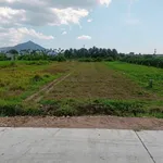 Bán đất 540m² (100m thổ cư) Bình Thuận - 490 triệu - Ảnh thu nhỏ 2