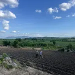 Bán 1 hecta đất tại huyện M'Đrăk, tỉnh Đắk Lắk - Ảnh thu nhỏ 15