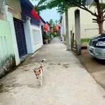 Bán đất hẻm Nguyễn Công Phương 147m2 ngang 14m - Ảnh thu nhỏ 1