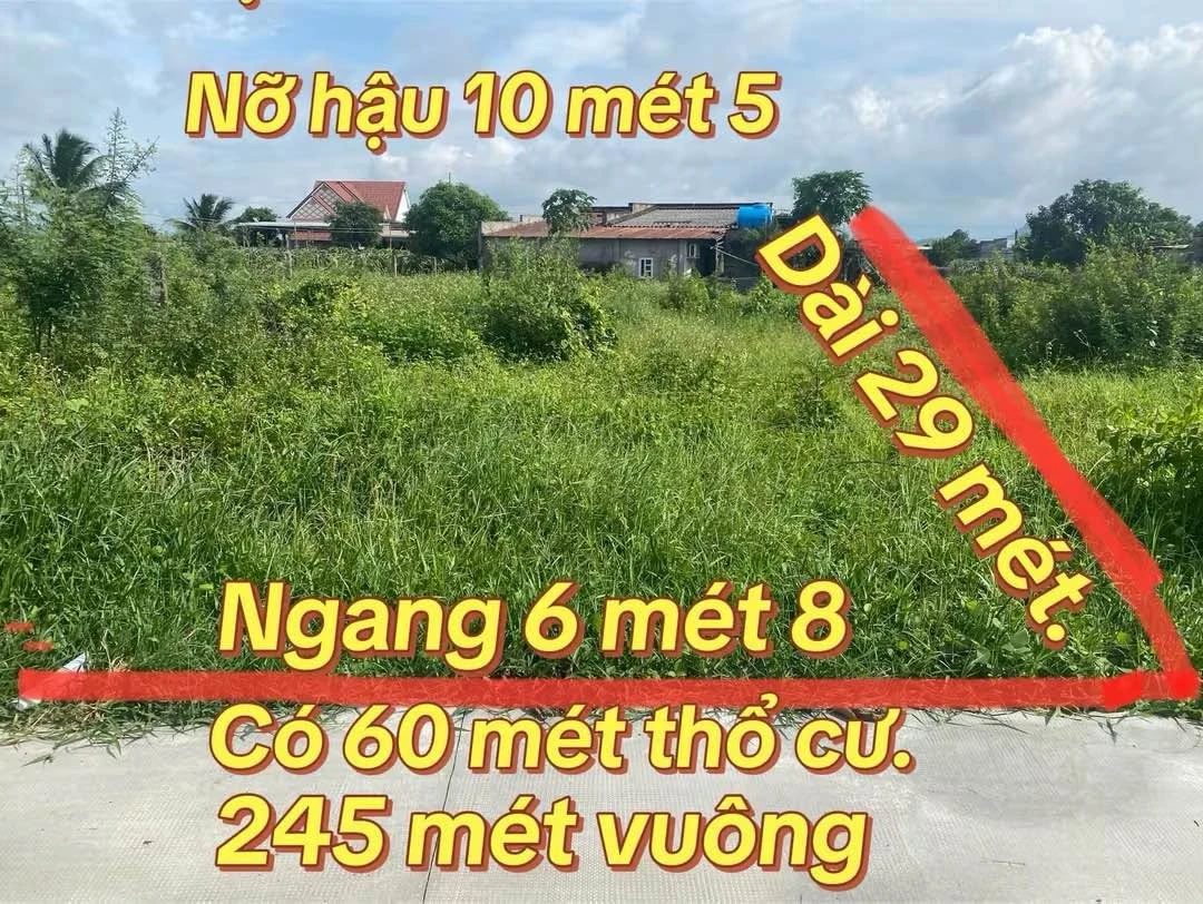 Bán lô đất thổ cư 244m² gần Quốc Lộ 1A Hàm Thuận Nam giá 400 triệu - Ảnh thu nhỏ 4