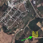 Văn Thủy 2 Cam An Khánh Hòa | hơn 5.000m2 | chỉ 150 triệu/sào - Ảnh thu nhỏ 1