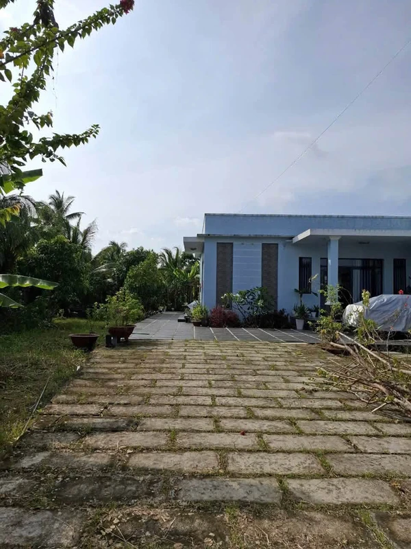 Bán đất Mỹ Gia 100m2 đường 18m Bình Chánh 4ty6xxtr
