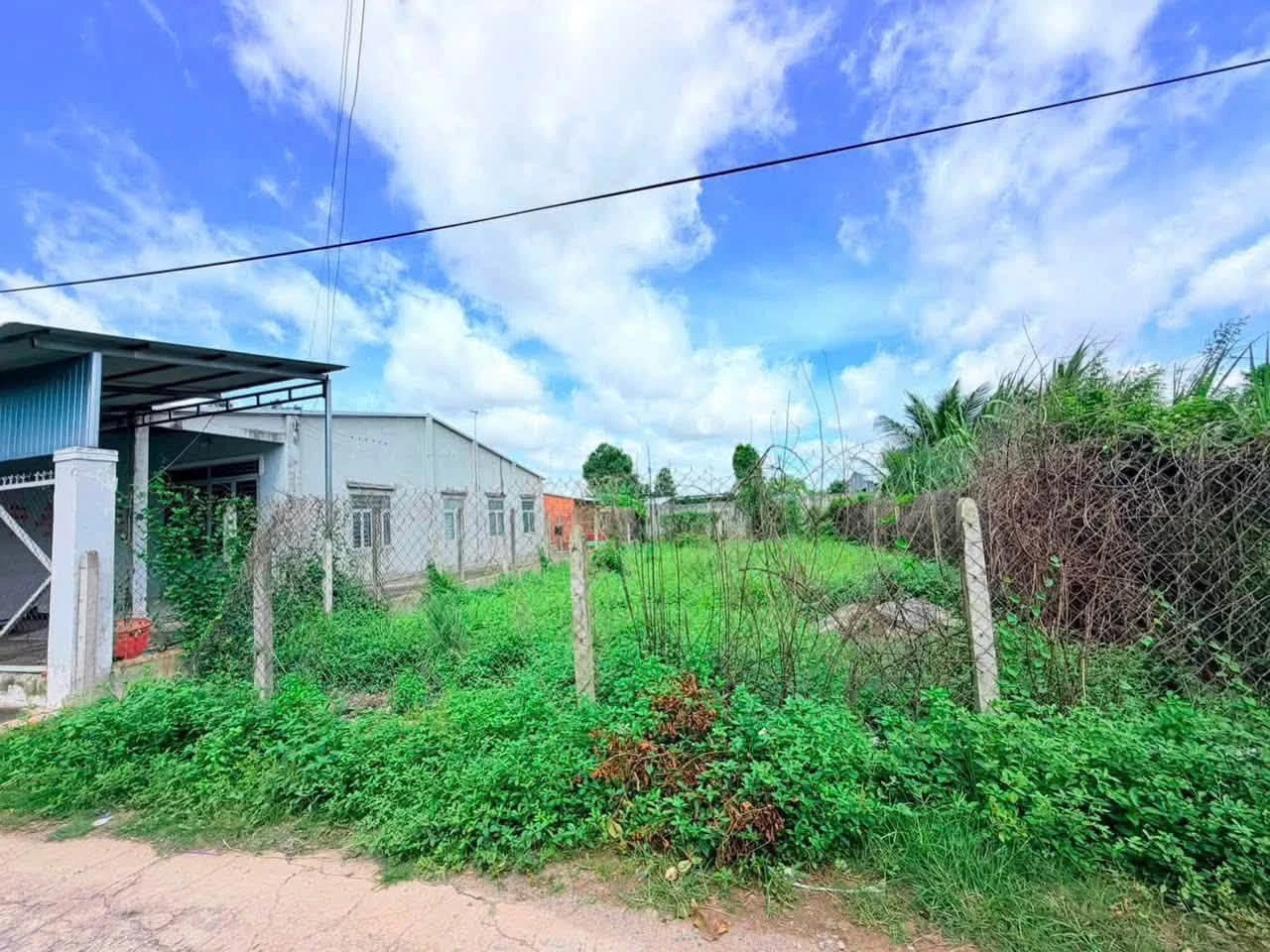 Bán đất 250m² gần siêu thị GO, Gò Dầu, Tây Ninh - Ảnh 1