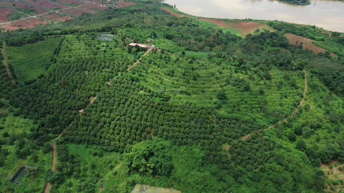 Bán ~6,6ha đất ven hồ trung tâm TP Gia Nghĩa - Ảnh 1