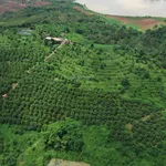 Bán ~6,6ha đất ven hồ trung tâm TP Gia Nghĩa - Ảnh thu nhỏ 1
