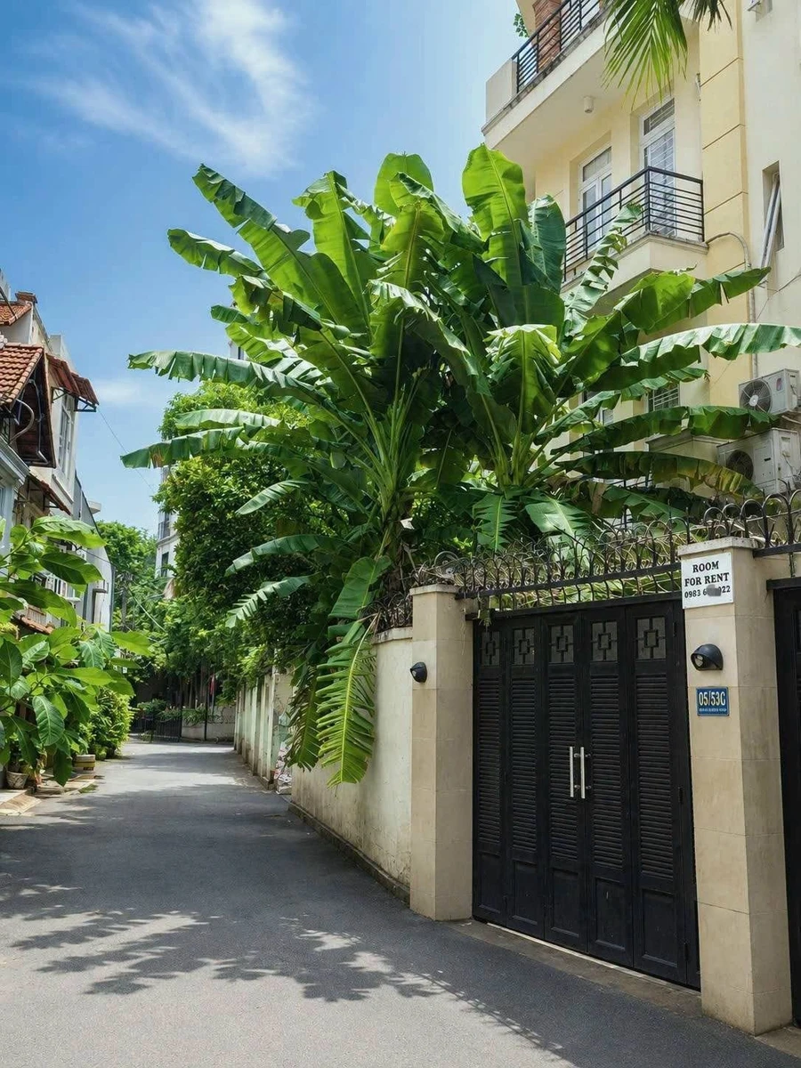 Bán nhà lô góc 2 mặt tiền 100m2 4 tầng hẻm 6m đường Nguyễn Cửu Vân, Bình Thạnh - Ảnh thu nhỏ 2
