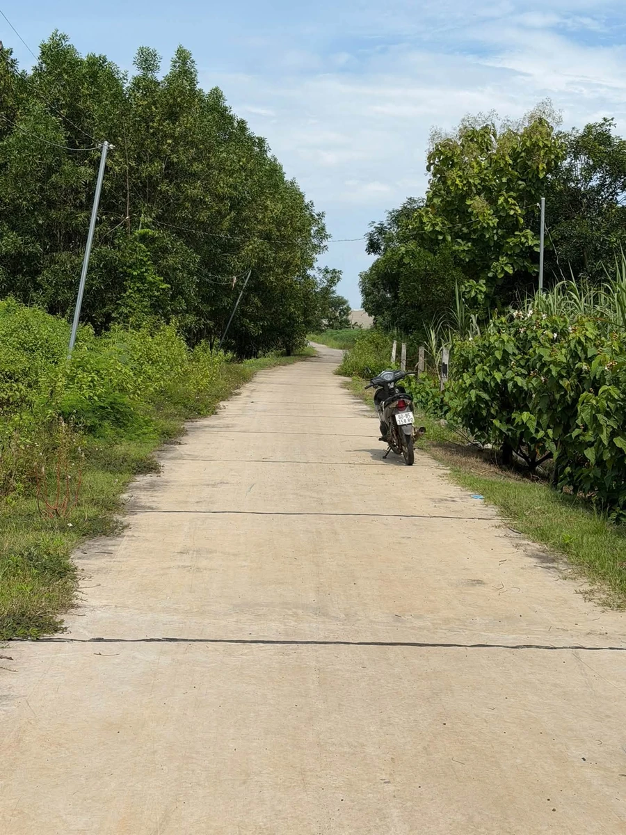 Bán đất 1000m² Xuân Thành Cần Giờ - Ảnh 1