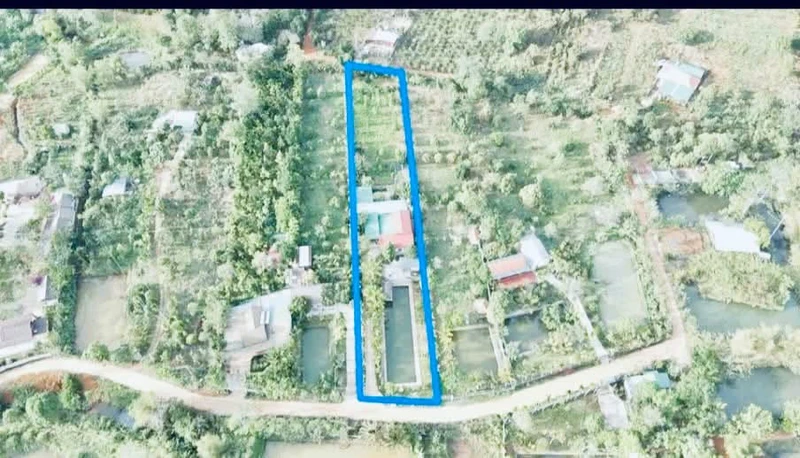 Bán nhà vườn 3,5 sào 2 mặt tiền, 22x150m, giá 3,9 tỷ tại Bắc Gia Nghĩa, Lâm Đồng