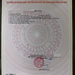 Bán đất thổ cư 8x40 nở hậu mặt tiền đường nhựa 218, Tân Thông Hội, Củ Chi - Ảnh thu nhỏ 4