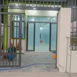 Bán nhà cấp 4 Châu Phú 110m² 2PN 800 triệu - Ảnh thu nhỏ 2