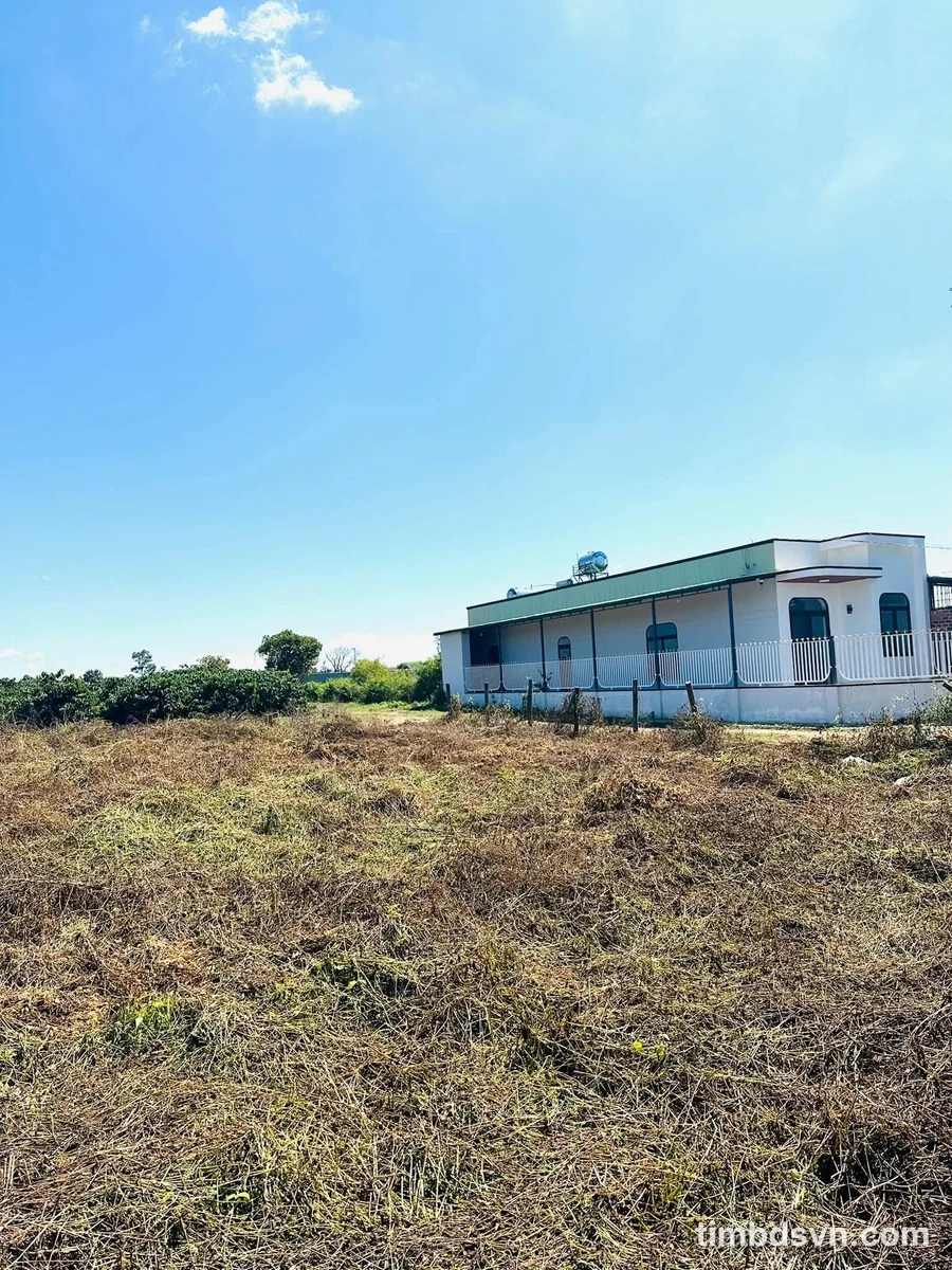 Bán đất hẻm chính 126 Trần Văn Ơn, 690m², Bình Tân - Ảnh thu nhỏ 5
