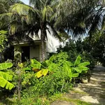 Nhà vườn lớn Sáu Bình gần biển - Ảnh thu nhỏ 4