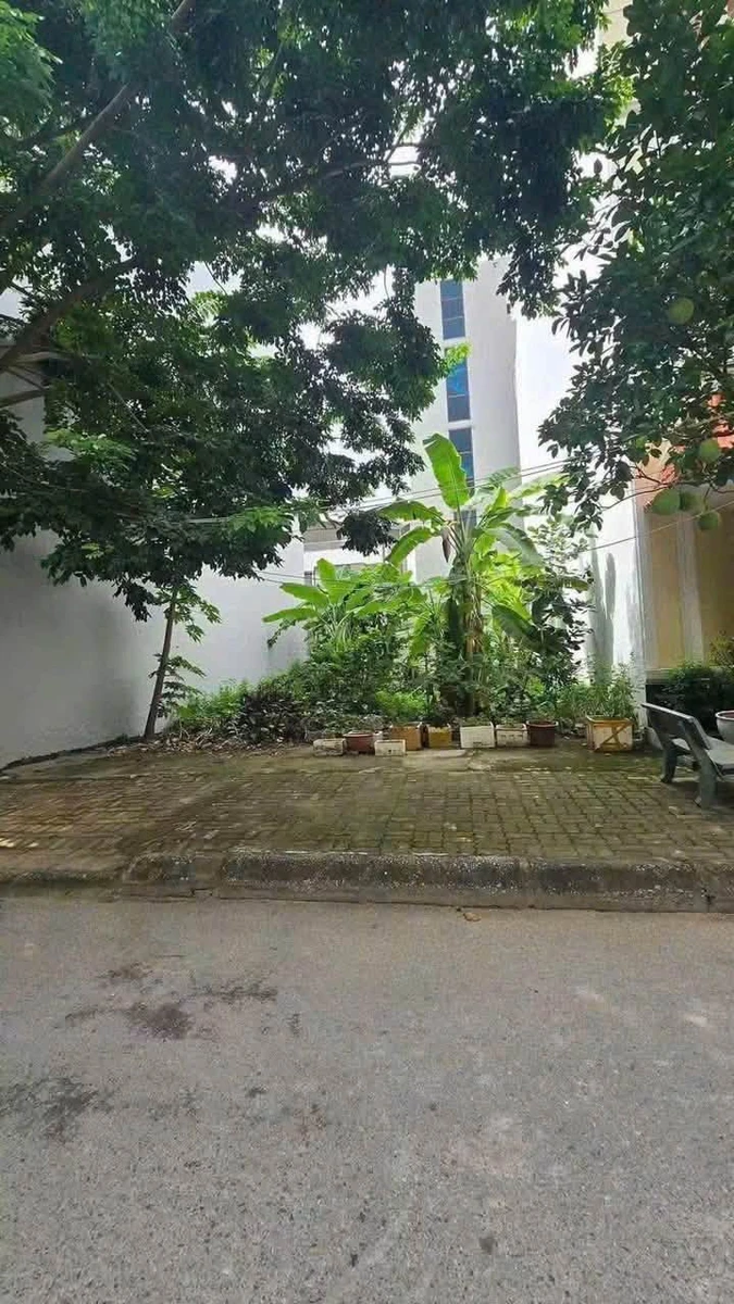Bán đất Đặng Thái Mai Hải Dương 67,5m² 3 tỷ 5 - Ảnh thu nhỏ 2