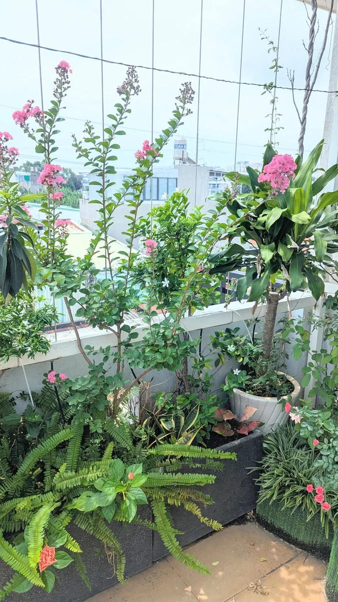 Bán nhà 88m2 ngang 4.6×19 Vũng Tàu, giá 5.5 tỷ - Ảnh thu nhỏ 2