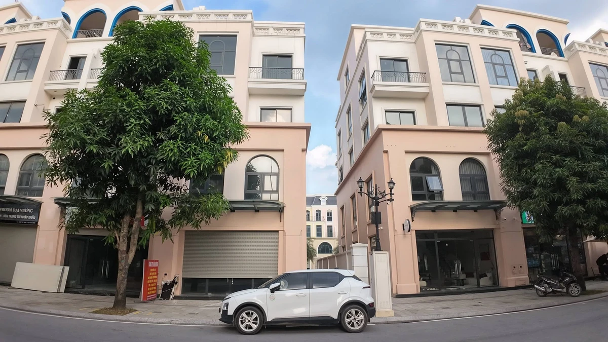 Bán shophouse 170m² 2 mặt tiền Vinhomes Ocean Park 2, giá 25,5 tỷ - Ảnh 1