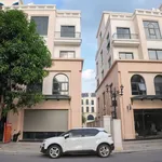 Bán shophouse 170m² 2 mặt tiền Vinhomes Ocean Park 2, giá 25,5 tỷ - Ảnh thu nhỏ 1